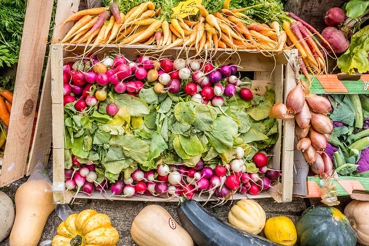 fresh vegetables