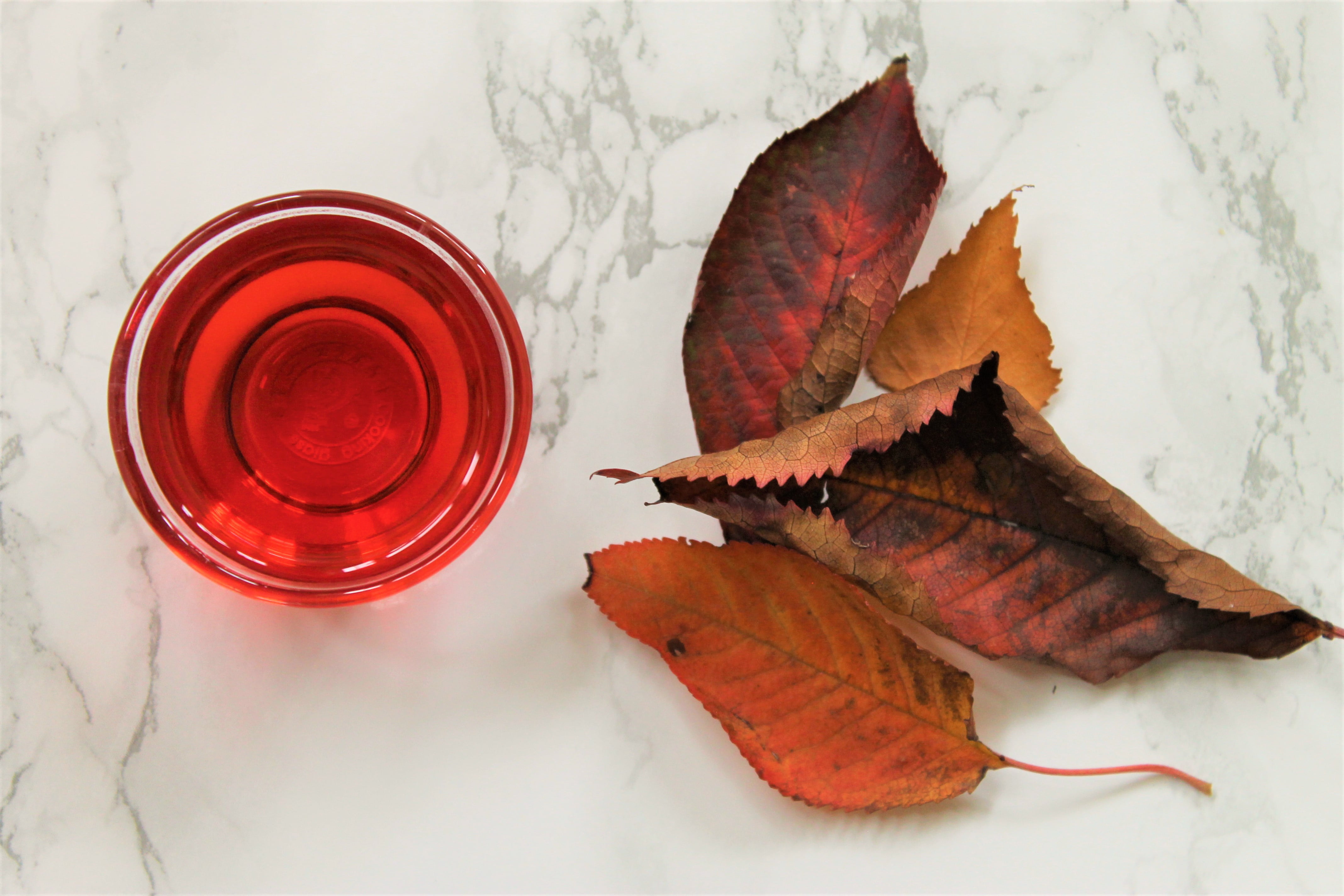 hibiscus herbalism tea