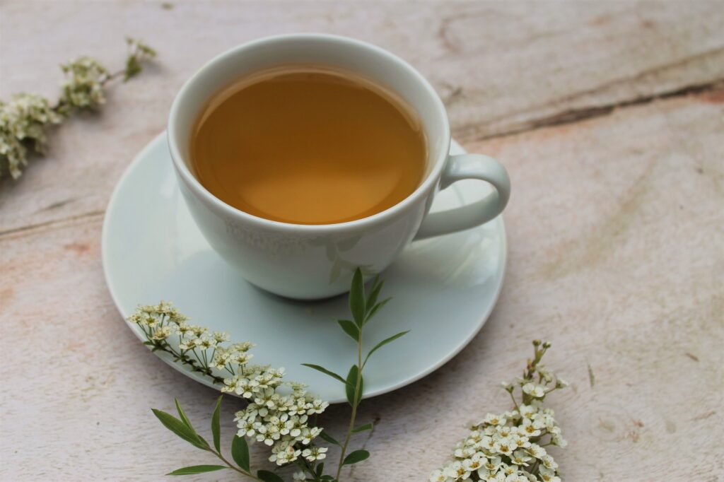 pure leaf green jasmine tea photography