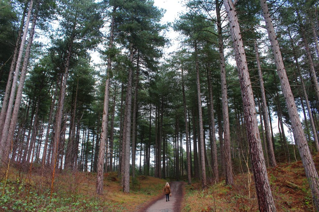 formby national park