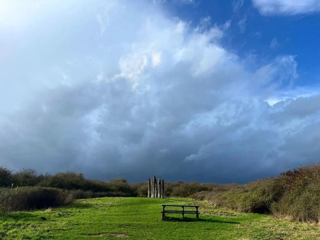 wat tyler country park place to visit in Essex