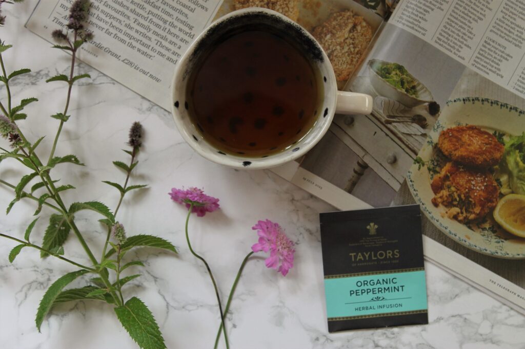 Taylors of Harrogate Organic Peppermint Tea Review