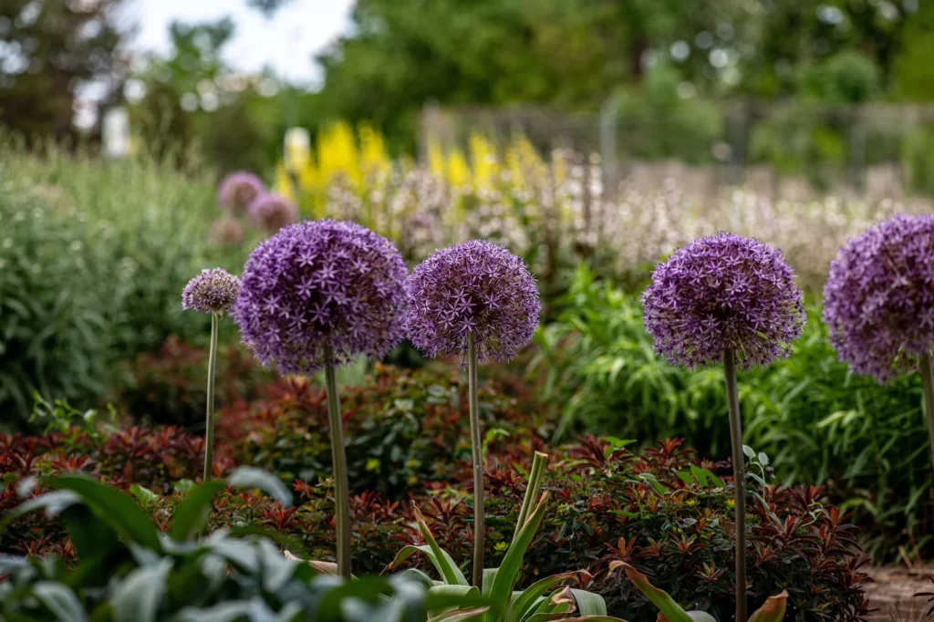 easy spring flowers